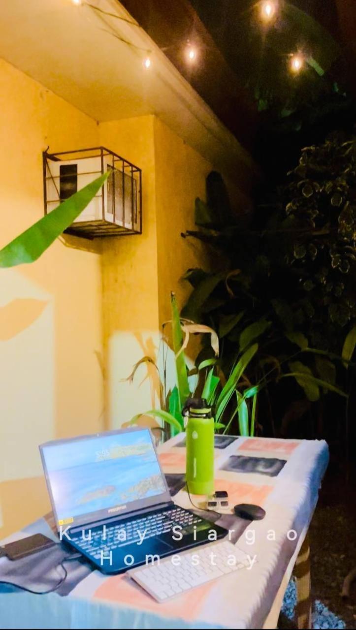 Ameeza Houze Homestay - Siargao General Luna  Eksteriør bilde